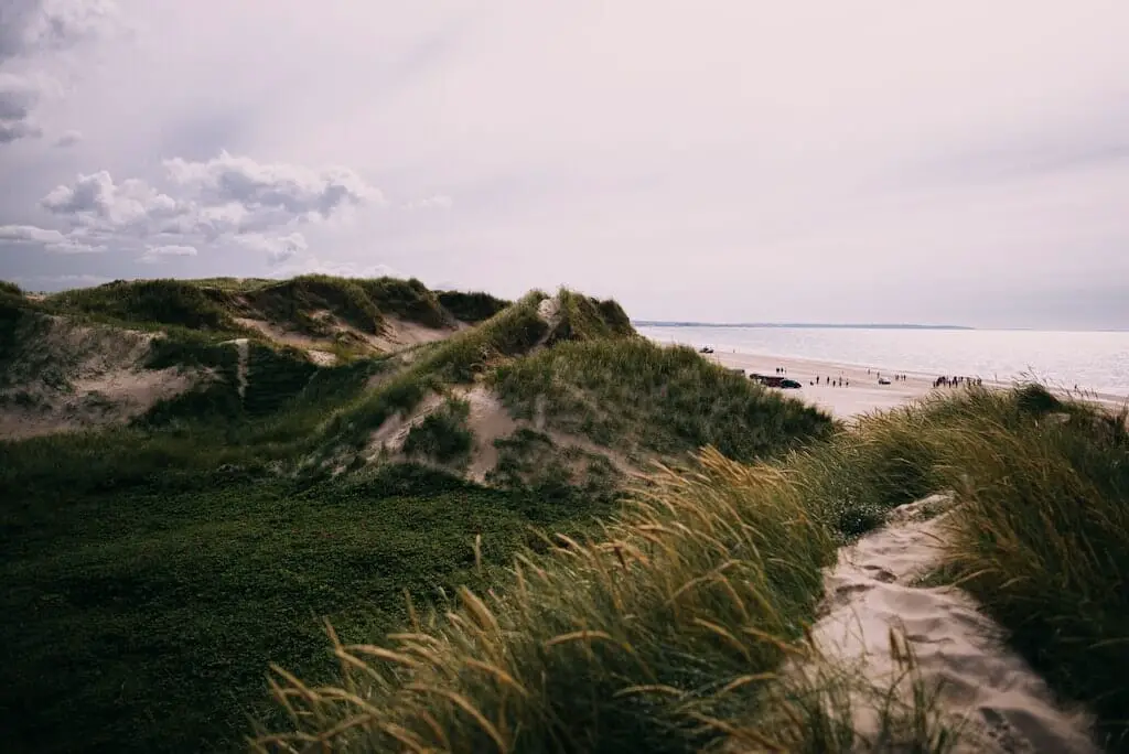 blokhus tourism in denmark
