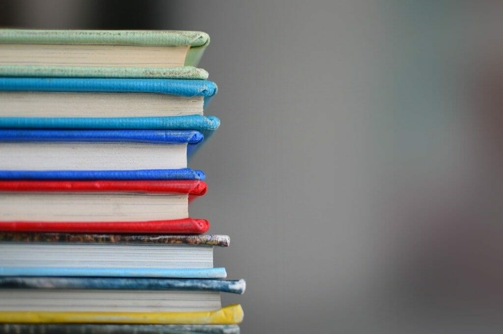 education in denmark
