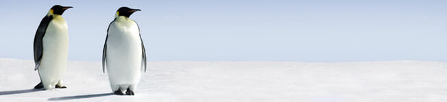 Fotolia_7371150_S_front.jpg
