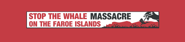 front-whale-massacre.png
