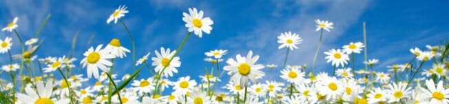 marguerite-route14.jpg